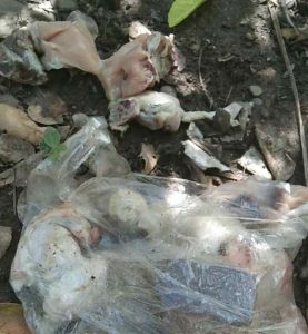 Warganet Gorontalo Dihebohkan,  Membeli Daging  Ayam Busuk