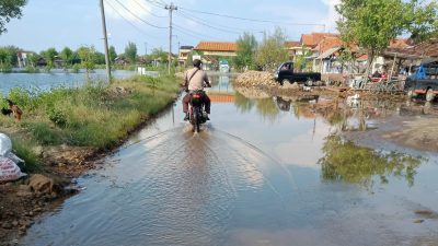 Potensi Banjir Rob Di Pesisir Utara Jawa Tengah, Ini Wilayah Yang Terdampak
