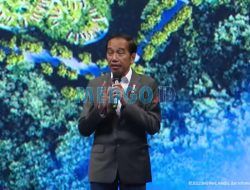 Jokowi  Tegaskan IKN Untuk Membangun Budaya Kerja Baru