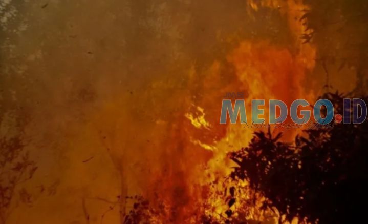 Kebakaran Hutan dan Lahan Mengancam Kelurahan Landasan Ulin Selatan, Banjarbaru