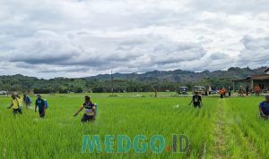 Gerakan Pengendalian Agens Hayati Kwandang Gorontalo Utara