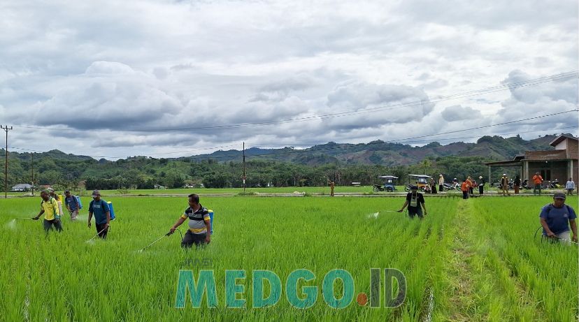 Gerakan Pengendalian Agens Hayati Kwandang Gorontalo Utara