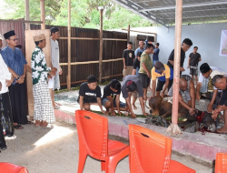 Semangat Berbagi, UNG Salurkan Daging Kurban dari 20 Ekor Sapi pada Idul Adha 1446 H