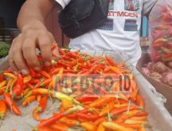 Harga Cabe Rawit di Gorontalo Mulai Naik, Diskumperindag Intensifkan Pemantauan