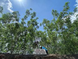 Antara Regulasi dan Realita Lapangan: Polemik Operasi Perusahaan Biomassa di Gorontalo