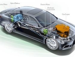 Mengapa Mobil Hybrid Semakin Diminati di Indonesia? Ini Analisis Lengkapnya