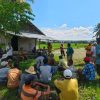 Gerak Cepat Balai Perlindungan Tanaman Gorontalo Atasi Serangan Tikus di Sawah Petani Limehe Barat