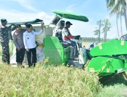 Target 5.000 Hektare, Panen Perdana di Randangan Jadi Langkah Awal Wujudkan Pohuwato Lumbung Pangan