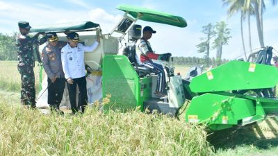Target 5.000 Hektare, Panen Perdana di Randangan Jadi Langkah Awal Wujudkan Pohuwato Lumbung Pangan