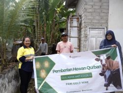 Meriahkan Idul Adha 1447 H, Pani Gold Mine Salurkan 43 Ekor Sapi Qurban ke Masyarakat Pohuwato dan Gorontalo