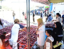 Sapi Kurban Capai 101 Ekor, Wagub Idah Syahidah Apresiasi Kepedulian Keluarga Haji Sennang