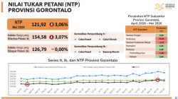 BPS: Provinsi Gorontalo Alami Deflasi 0,96 Persen pada Mei 2026