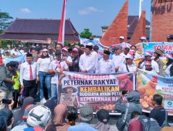 Harga Telur Anjlok, Peternak Blitar Bagi 1 Juta Telur Gratis dan Tolak Investor Besar