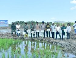 Lahan Tidur 2 Hektare di Randangan Kini Jadi Sawah Baru, Pohuwato Kejar Target 5.000 Hektare Cetak Sawah