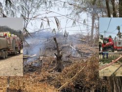 Pani Gold Mine Bantu Penanganan Kebakaran Lahan di Kapali dan Ponelo