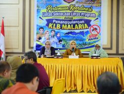 Kasus Malaria di Gorontalo Tembus 6.299, Idah Syahidah Minta Penanganan Terpadu